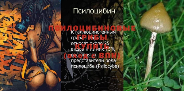 твердый Майский