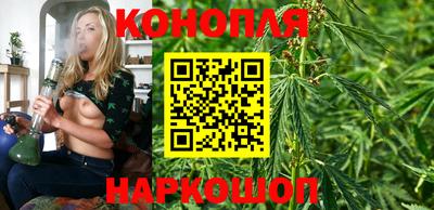 стаф Абакан