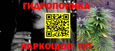 прущие крисы Абакан