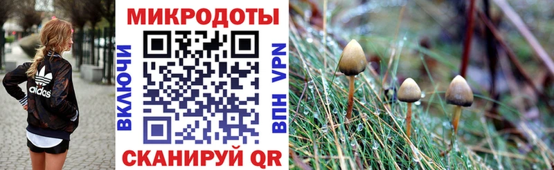 Псилоцибиновые грибы MAGIC MUSHROOMS  кракен как войти  Альметьевск 