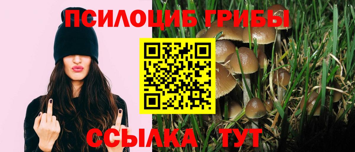 Галлюциногенные грибы Magic Shrooms Альметьевск