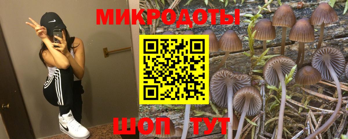 Галлюциногенные грибы Magic Shrooms  Альметьевск  Псилоцибиновые грибы мухоморы 