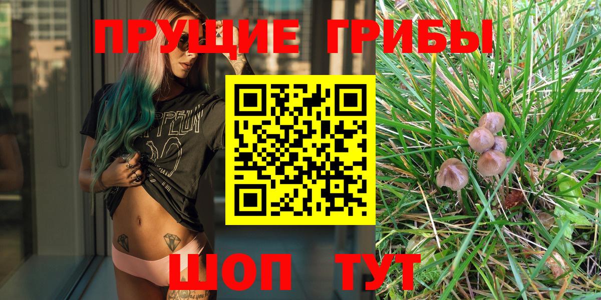 Альметьевск  Псилоцибиновые грибы MAGIC MUSHROOMS  Вход с VPN 