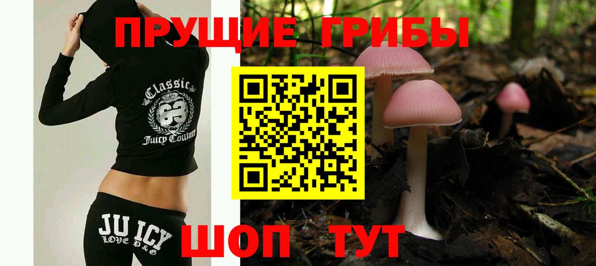 Галлюциногенные грибы GOLDEN TEACHER Альметьевск